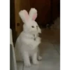 Gatau mls ucul bgt😳 5