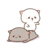 KUCINGKU 5