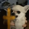 Misturar Animado 12