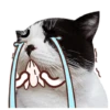 ANJINK 10