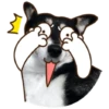 ANJINK 8
