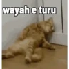 Gatau mls ucul bgt😳 7