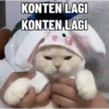 Meme kucing pt. 2 14