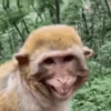 Funny Expression 15