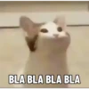 Meme kucing pt. 2 13