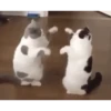 Memes pa su merce ️ (animado) 15