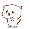 Peach cat 9