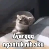 Ayang akooh 6
