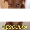 MEMES KKKKK 5