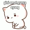 Peach Cat (6) 16