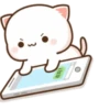 Peach cat 7