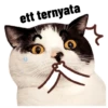 ANJINK 11