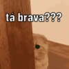 Memes & memes   12
