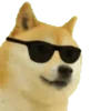Animais engraçados 13