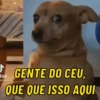 Memes para reagir ✨ 15