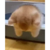 Gatinhos animados 10