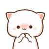 Peach cat 6