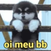 Reações fofinhas 🥰 6