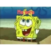 Bob sincero 9