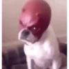 To get angry 14