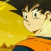 Son Goku | 30