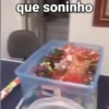 Doguinhos e Gatinhos 6