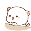 KUCINGKU 15
