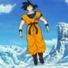 Son Goku | 17