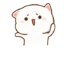Peach cat 17