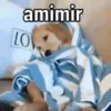 Doguinhos 9