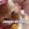 Ayang akooh 7