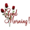 Good Mooring & Good Night 8