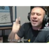 Mammt italiana 29