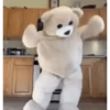 Dancing meme 14