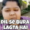 Memes 15