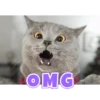 Random Memes (Reactions) 14