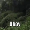 Meme gif 10