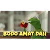 Peter Parker x Meme 14
