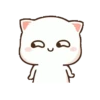 Kucing Gemoy 14