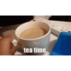 Chai SeLEcTi0n 7
