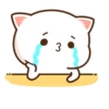 Peach cat 12