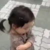 Misturar Animado 16