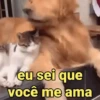 Reações fofinhas 🥰 5