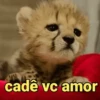 REAÇÕES/RESPOSTAS 6