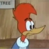 MAIS DO PICAPAU 7