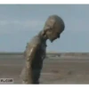 Adult memes 7