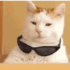 Meme Reactions 14
