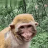 Trending Memes 5