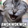 Meme Acak & Random 2 10