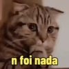 CONFUSO 🥴 12